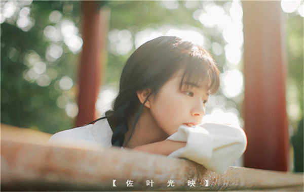 沙依巴克胎儿性别鉴定需要多少钱(胎儿性别鉴定的方法)